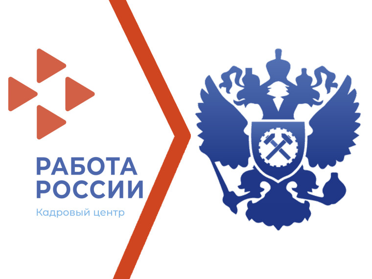 Взаимодействие службы занятости и работодателей через единую цифровую платформу в сфере занятости и трудовых отношений «Работа в России».